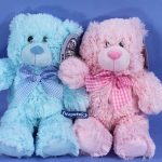 New Born teddy