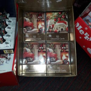 Christmas Cards Animal (10pk)