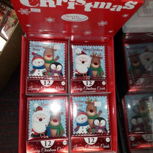 Christmas Cards Childrens (12pk)