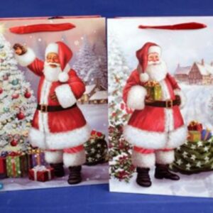 Christmas Bag Santa