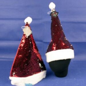 Santa Sequin Hat