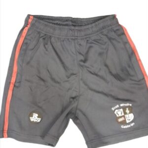 Gowran NS Casual Shorts (New 2024)