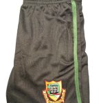 Newtown Dunleckney NS Casual Shorts
